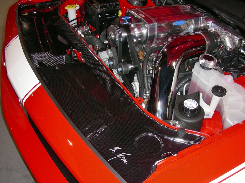 Mr. Norm’s CarbonFiber Radiator Cover Dodge Challenger - Click Image to Close